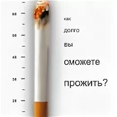 Сигарета жить