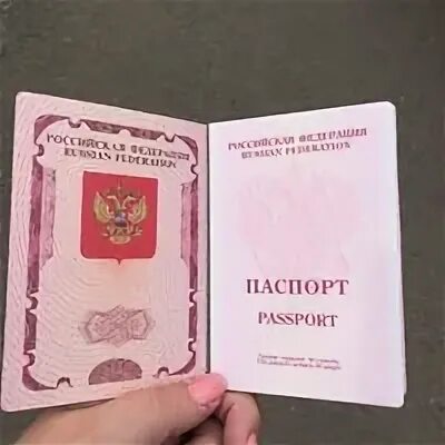 Отдел миграции костюшко