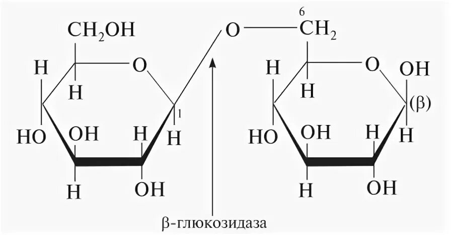 Функциональные группы в молекуле глюкозы