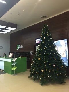 Xfit плаза