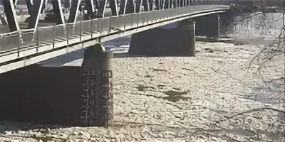 Уровень реки томь в новокузнецке веб камера. Кондома река в новокузнецке. томь новокузнецк. река томь ледоход 2025 новокузнецк. река кондома малышев лог.