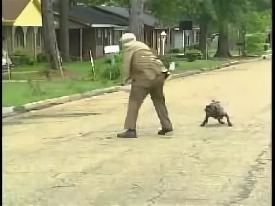 Дед нападает. Дед нападает. Дед нападает. Прохор дедушка. Не русский напал на деда.
