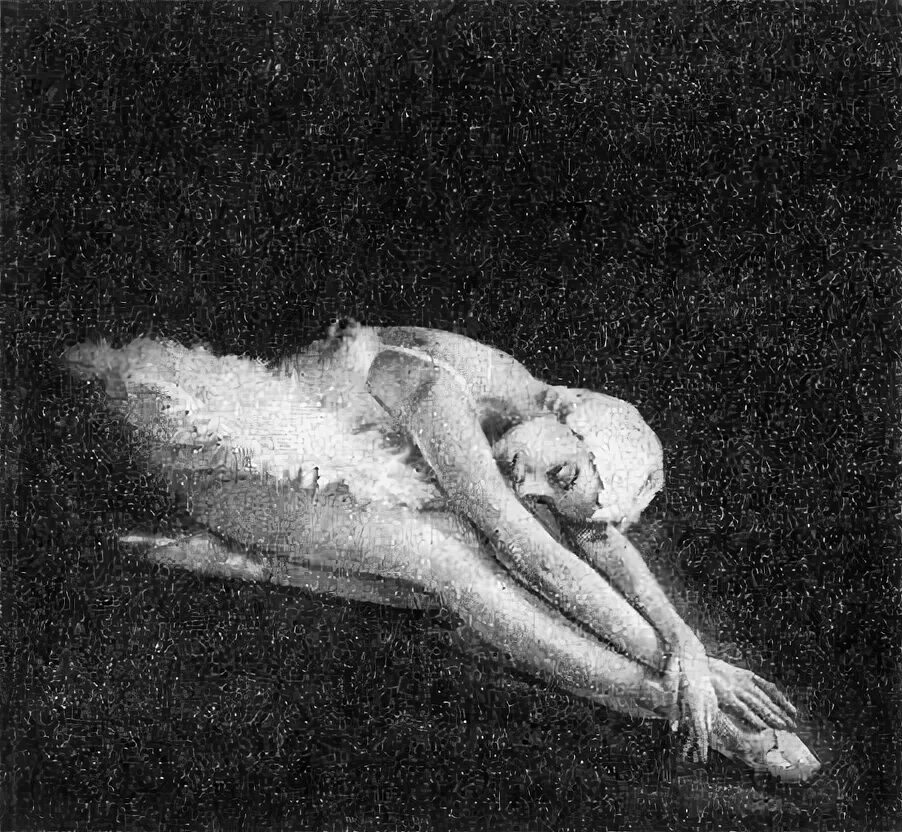 Лопаткина белый лебедь. Мертвый лебедь рисунок. Майя плисецкая лебединое озеро. Автор умирающего лебедя. Лебедь после смерти.