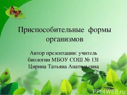 Пользуясь ситуацией