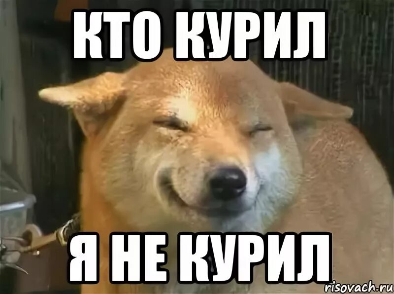 Не курил. Кто курил. кто курил я курил. я не курил. кто курил мем.