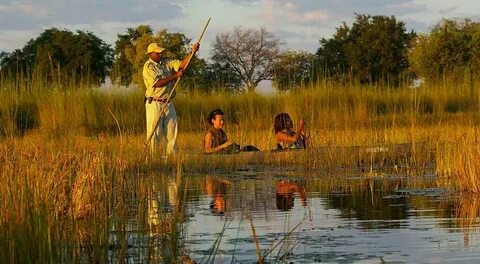 Safari romance