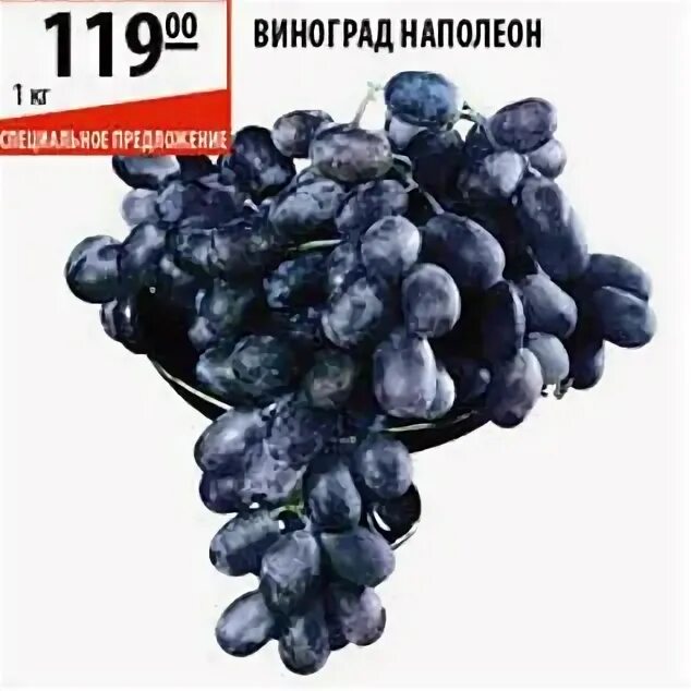 Бонапарт Виноград Черноземья