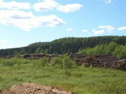 Погода золотанка красновишерский