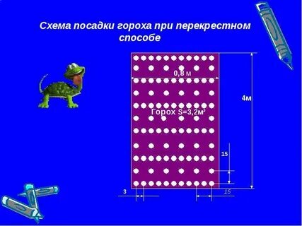 Расстояние посадки гороха