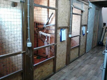 Передержка собак отзывы