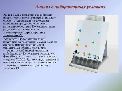Описание лабораторной
