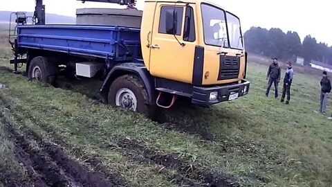 Каз видео