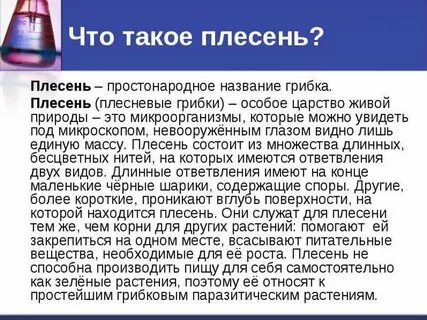 Плесень 2 класс