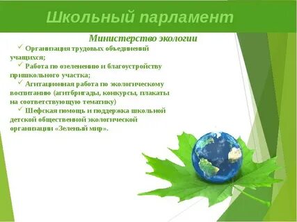 Экология в организации