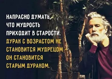 Афоризмы о старости