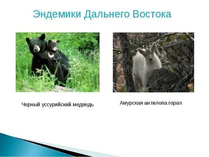 Эндемичный