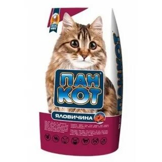 Пане коте