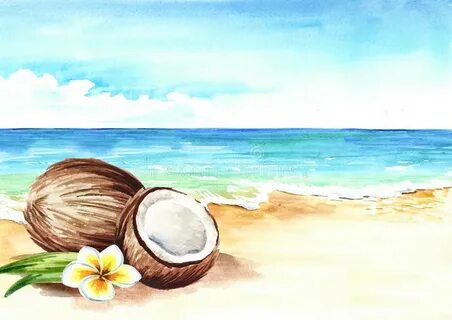 Finding Seashells - Doodlewash®