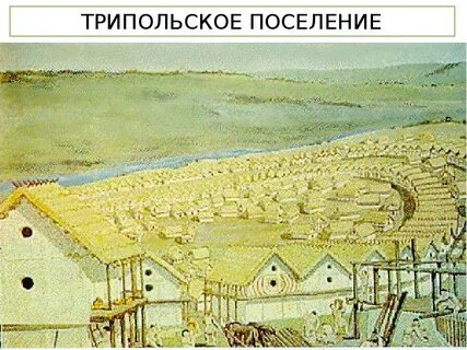 Культура поселения