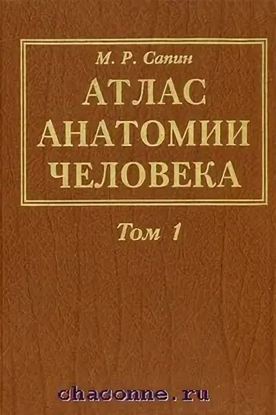 Р. Атлас анатомии 3 тома. Атлас анатомии 3 тома. Сапин анатомия человека в 3 томах. Анатомия атлас сапин.