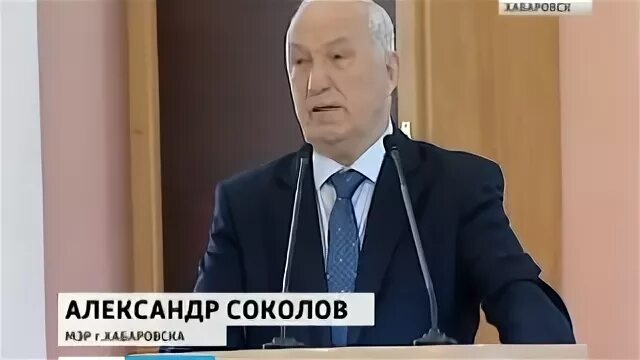 Мэр сокола