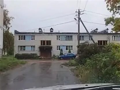 Погода ленинградские плодовые