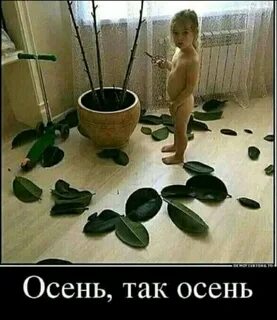 Я не просто так пришел