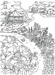 Country page