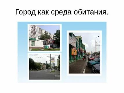 Среда обитания г
