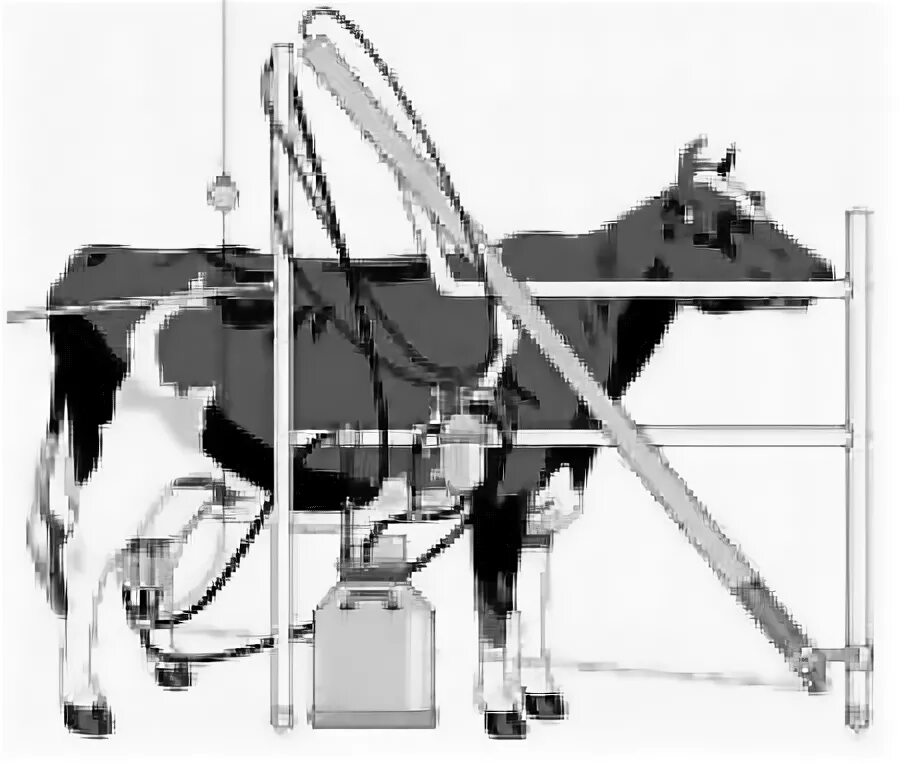 Дойка сама. Чертежи доильные Арарат для коровы. Дойный аппарат для коров МДУ 3 схема сборки. Аппараты доильные Вестфаль. МДУ-1 модуль доильный.