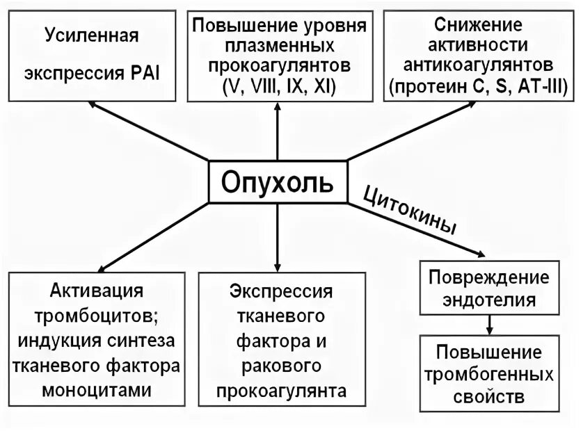 Системное действие опухоли на организм. Проявления системного влияния опухоли на организм. Взаимоотношение опухоли и организма. Механизм влияния организма на опухоль. Влияние опухоли на организм