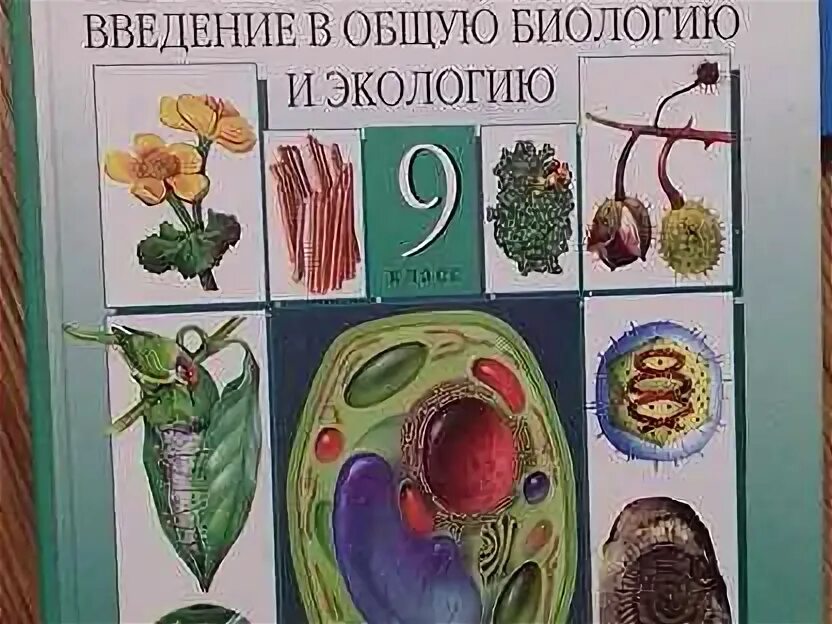 Конспекты к огэ по биологии 2024. Животные». Живой организм. Биология 6 класс живой организм сонин сонина. Сонин н.