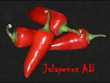 Pepper 18