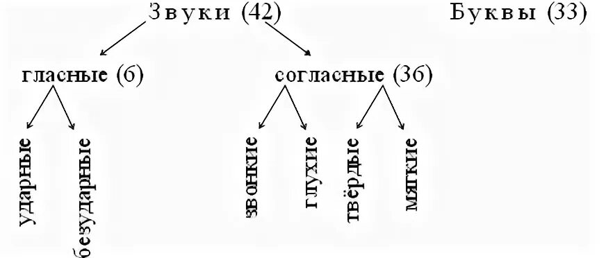 Группы гласных