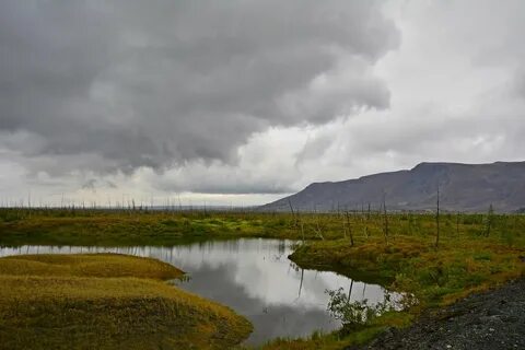 Таймыр норильск