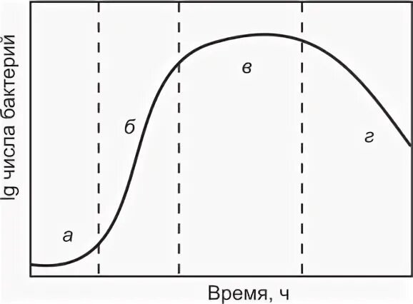 Влияние давления на микроорганизмы. Влияние давления на микроорганизмы