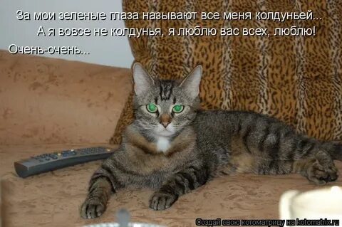 За мои зеленые глаза называешь
