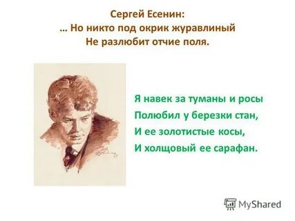 Я навек за туманы и росы полюбил