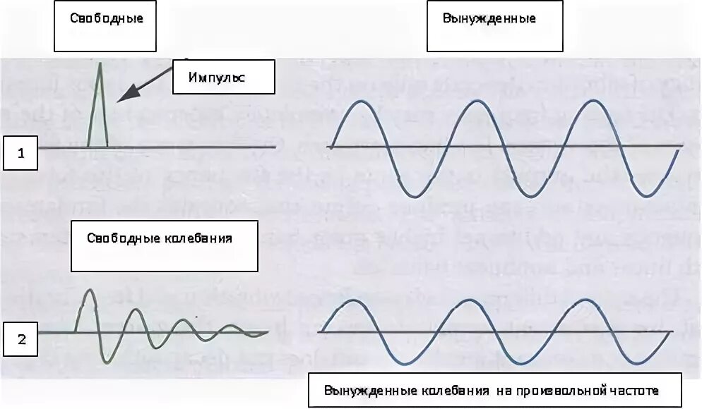 Свободные вынужденные