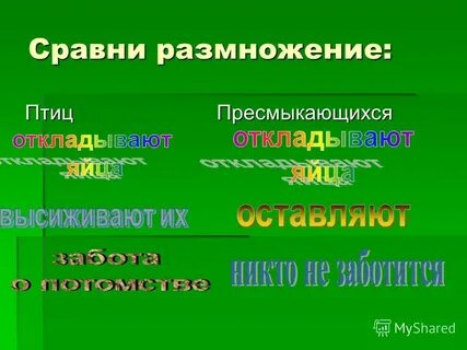 Искусственный размножение животных