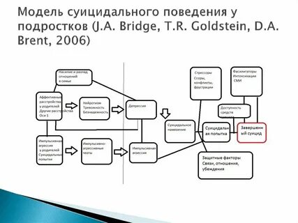Формирование модели поведения