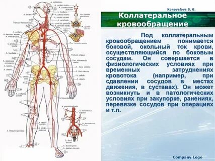 Коллатерали это