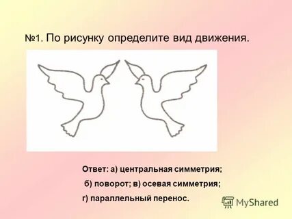 Способ движения голубя