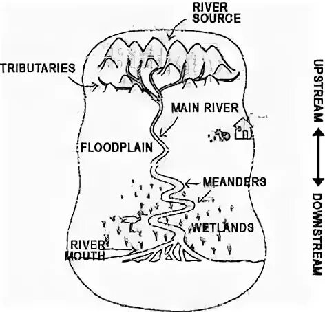 What is a river. Parts of the river.
