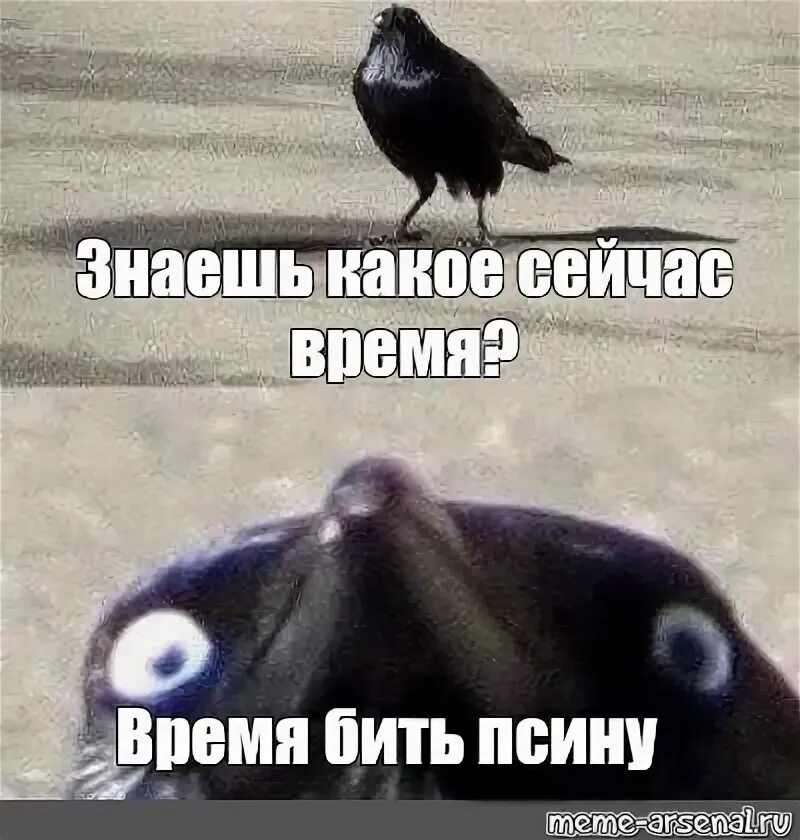 Мемы про время. Шутки про часы. Мемы про часы. Мемы про сроки. Который час мем.