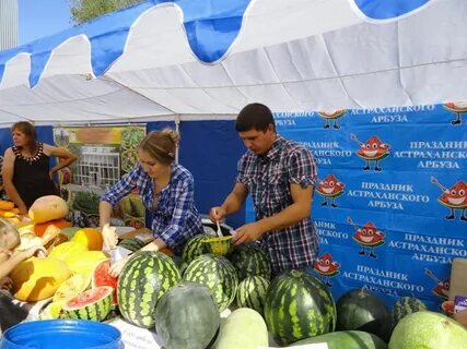 Арбуз астраханские новости