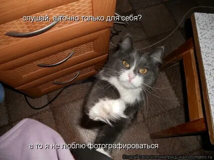 Я не люблю фотографироваться