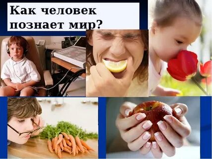 Как человек она