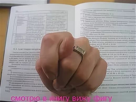 Фига в книге. Гляжу в книгу вижу фигу. Смотрим в книгу видим фигу. Вижу книгу вижу фигу. Смотрю в книгу вижу фигу.