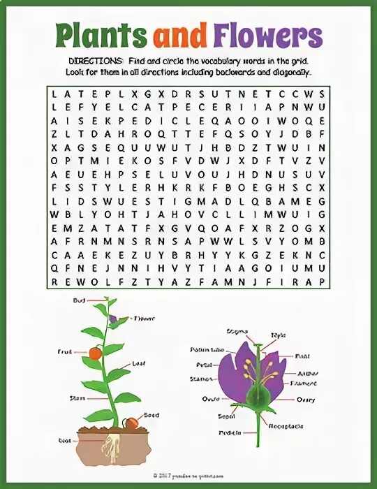 Plants task. Задания по теме растения английский. Растения на английском для детей. Plant Word. Plants Worksheets.